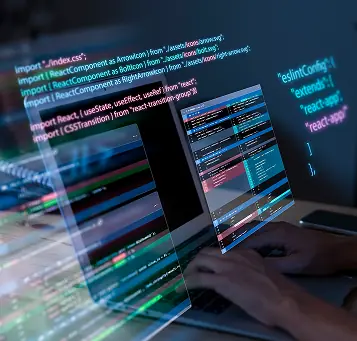 Custom web development services