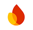 Firebase technology partner logo