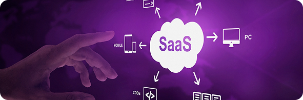 SaaS Development Services - saas development service illustration